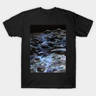 The Exuberance of Water T-Shirt